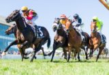 Spirit Of Boom winning the Caulfield Sprint at Caulfield - photo by Race Horse Photos Australia