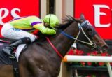 Spirits Dance winning the New Year Handicap at Flemington ridden by Chad Schofield and trained by Peter Moody - (photo by Steven Dowden/Race Horse Photos Australia)