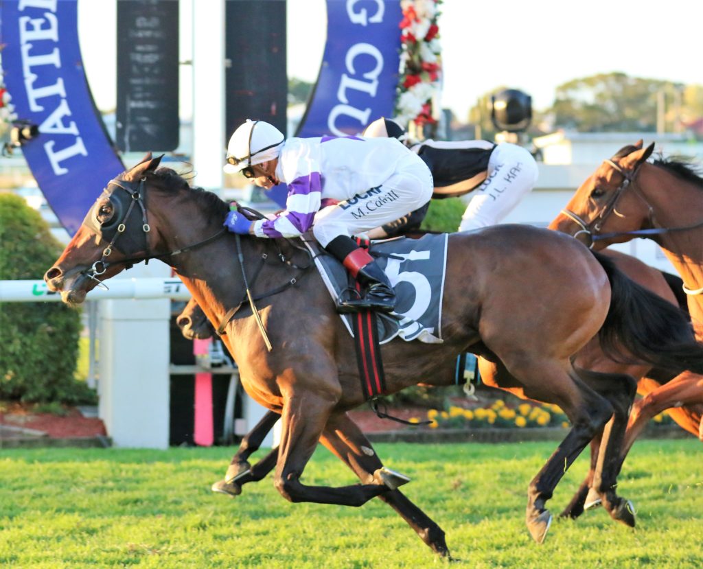 Spright (2) | Just Horse Racing