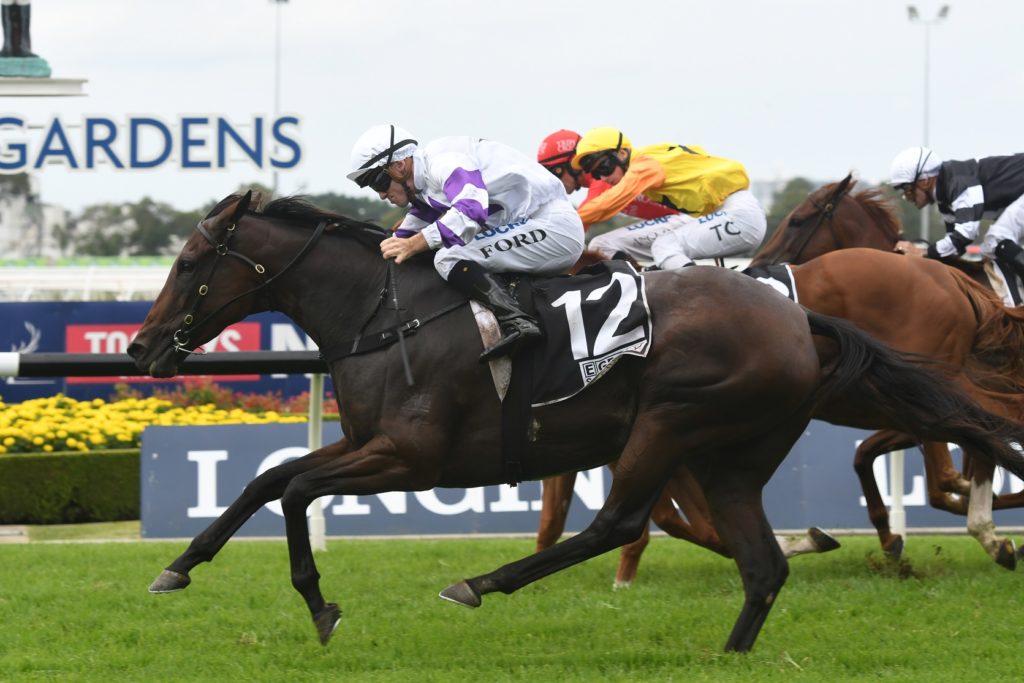 Spright 310318 6100 | Just Horse Racing