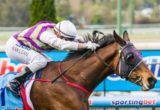Stable Star winning the Race 5 at Moonee Valley - photo by Race Horse Photos Australia