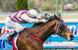 Moonee Valley Raceday | Just Horse Racing Stable Star winning the Race 5 at Moonee Valley - photo by Race Horse Photos Australia