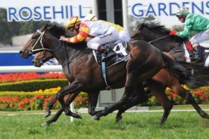 Stamina 310813 9222 | Just Horse Racing Stamina