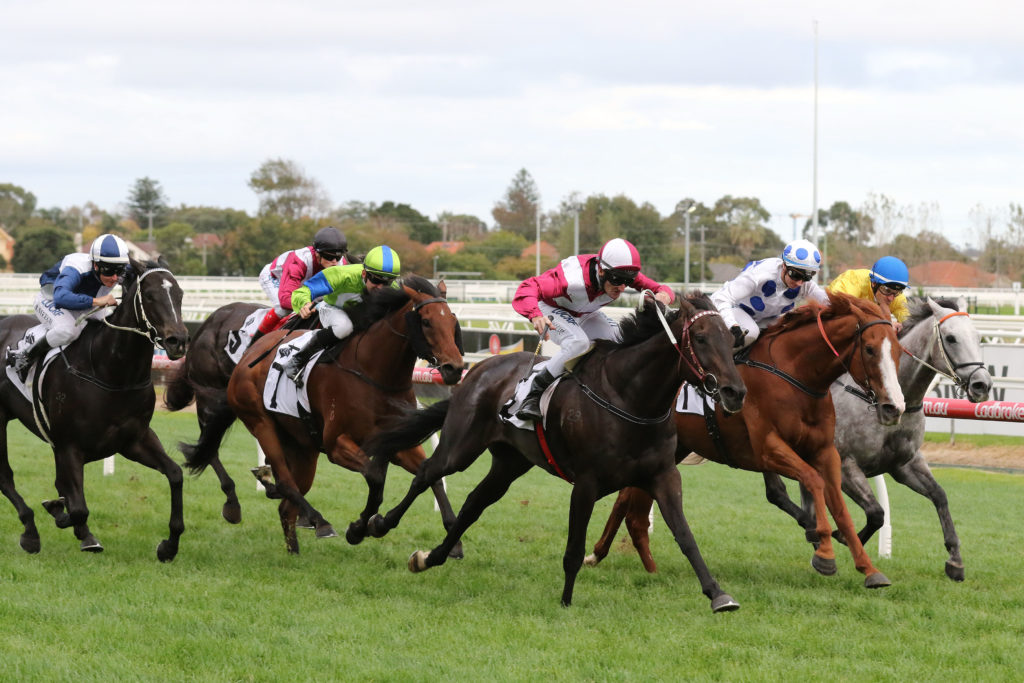 Star Exhibit_29-04-2017_WIN_Caulfield_8__1188 | Just Horse Racing