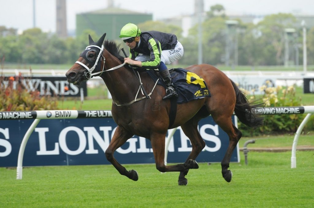 Start Wondering 300116 0738 | Just Horse Racing