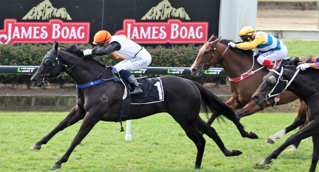 Stella Ombra Tiffani Brooker_3474 (2) | Just Horse Racing