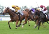 Victory in the Group Two Breeders’ Classic at Warwick Farm is likely to prompt trainer John O’Shea to raise the bar