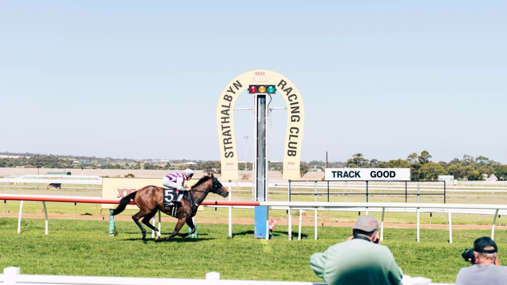 19/5/2024 Horse Racing Tips and Best Bets – Strathalbyn