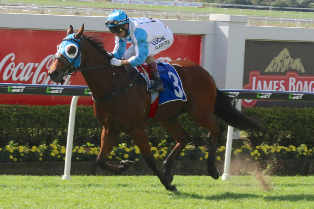 straturbo | Just Horse Racing