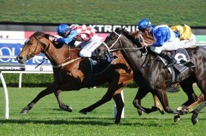 Streama 210913 1983 | Just Horse Racing Streama