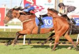Streama - Blake Shinn