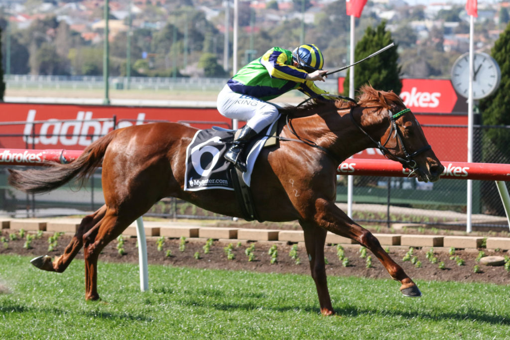Strike Force_25-08-2018_WIN_Moonee Valley_2__226 | Just Horse Racing