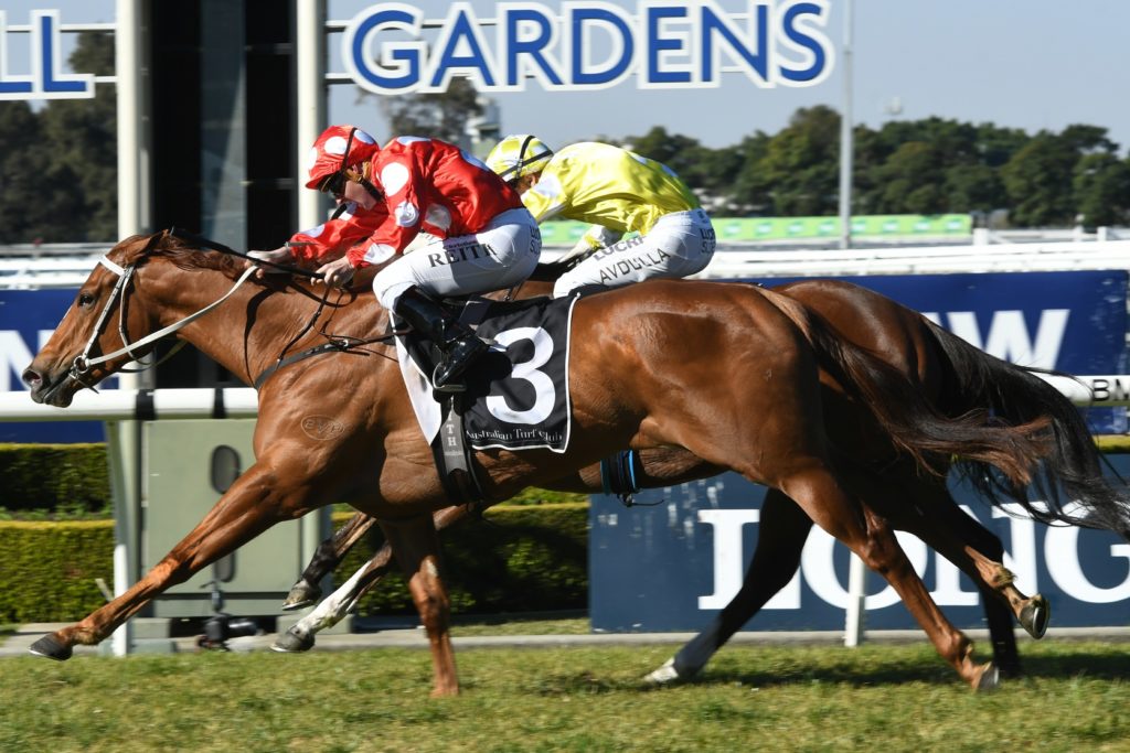 Suspenders 290717 1914 | Just Horse Racing