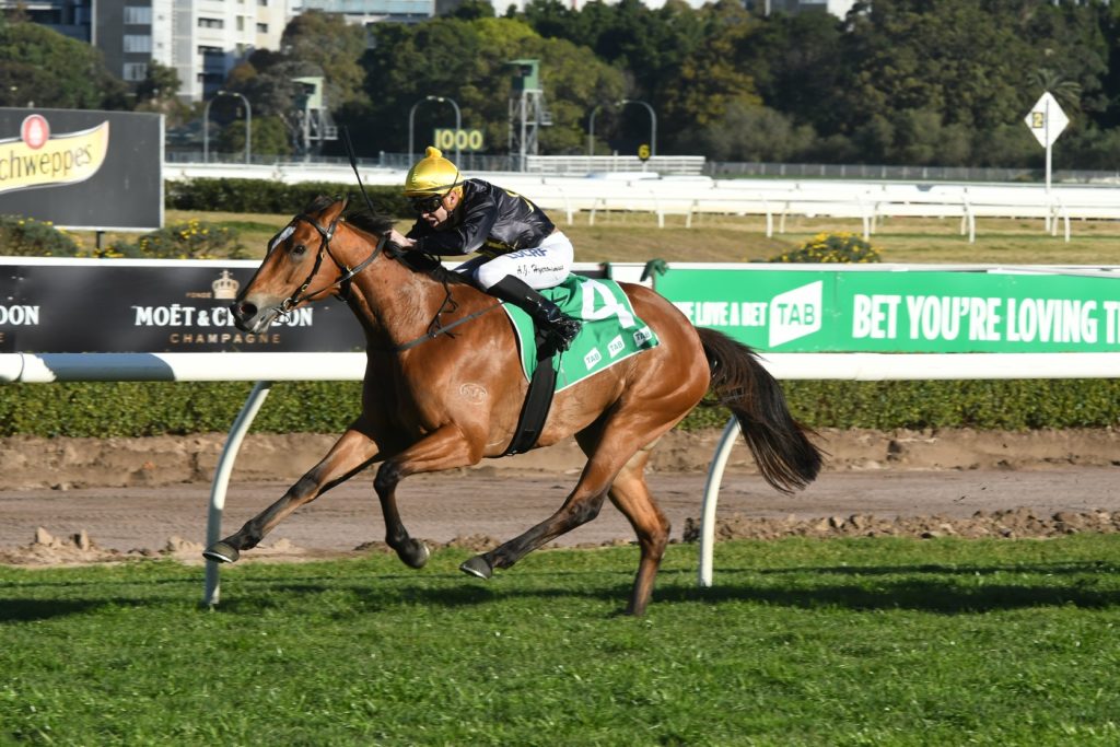 Sweet Redemption 190817 7517 (1) | Just Horse Racing