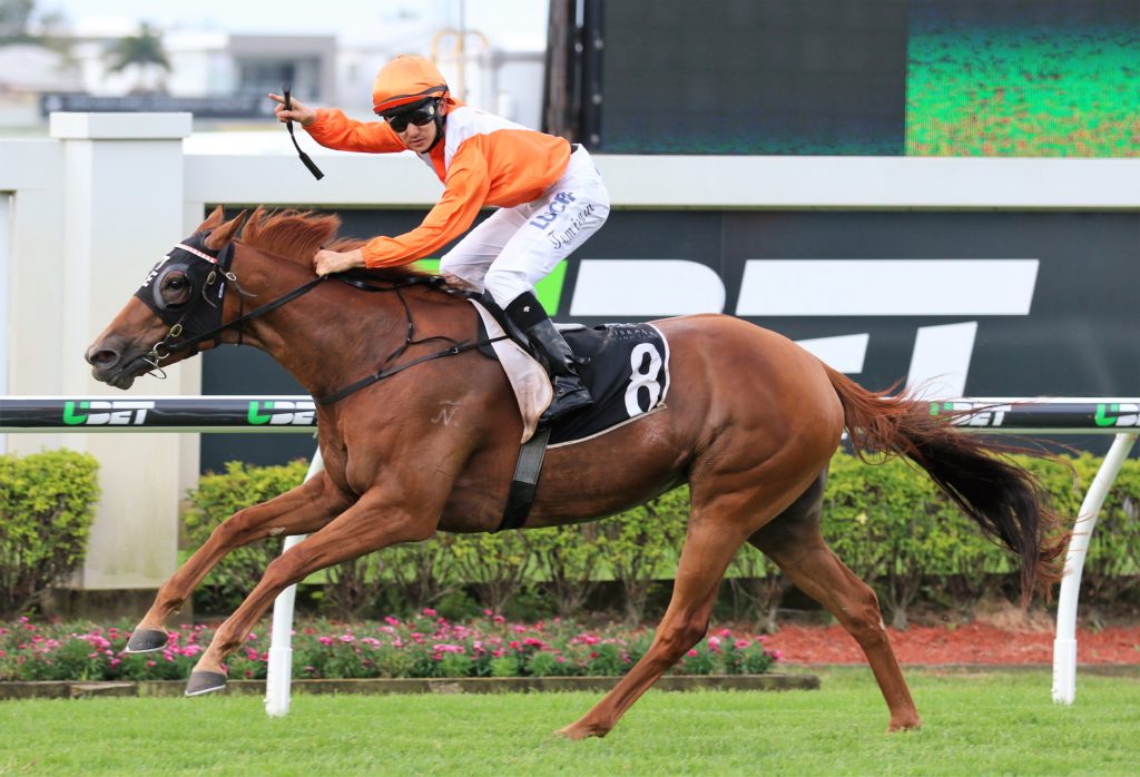 Sylpheed (2) | Just Horse Racing