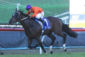 Takedown | Just Horse Racing Takedown