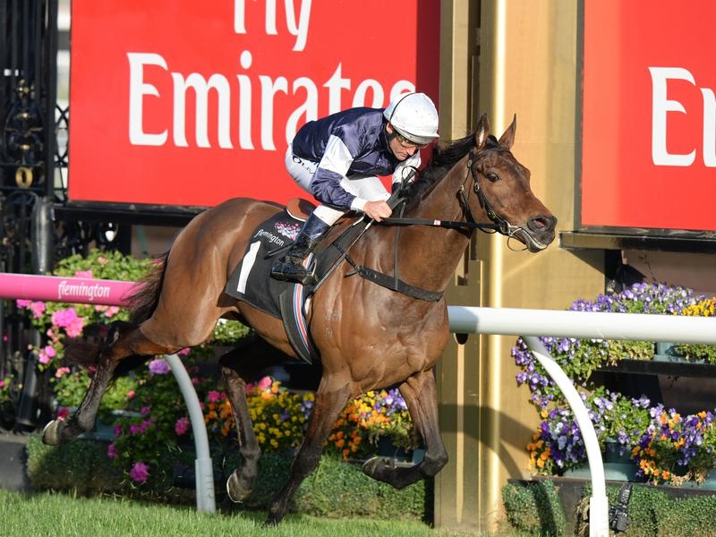 Tancred Preview | Just Horse Racing
