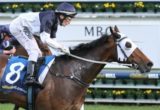 Tarzino - 2016 Golden Slipper day Best Bet at Rosehill