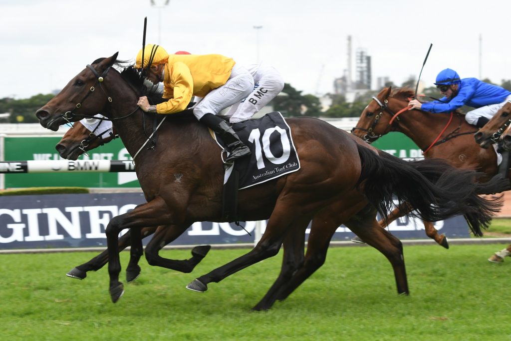 Test The World 030617 0421 | Just Horse Racing