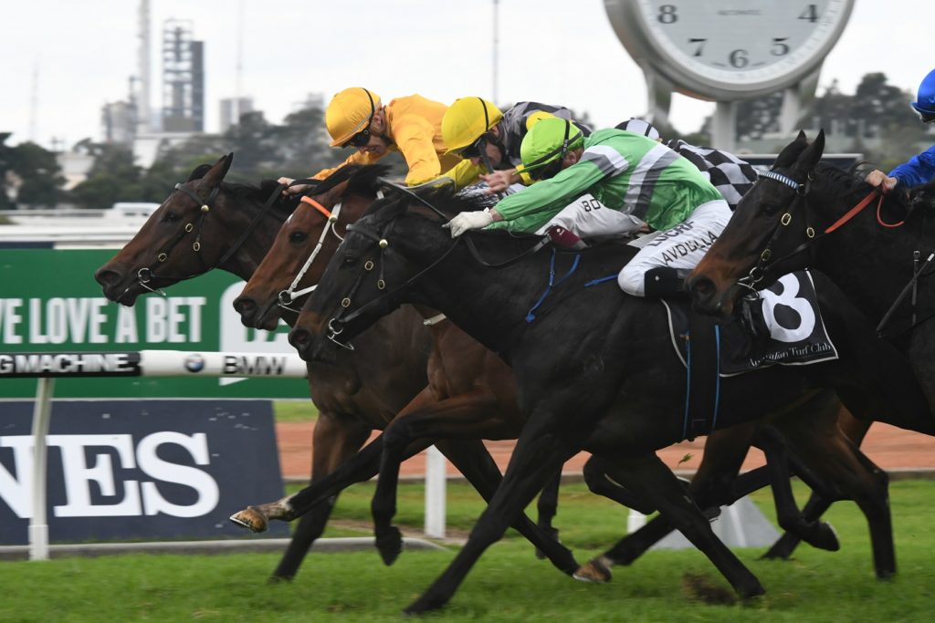 Test The World 170617 3460 | Just Horse Racing