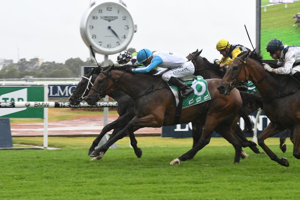 Testashadow 021217 _5950 | Just Horse Racing