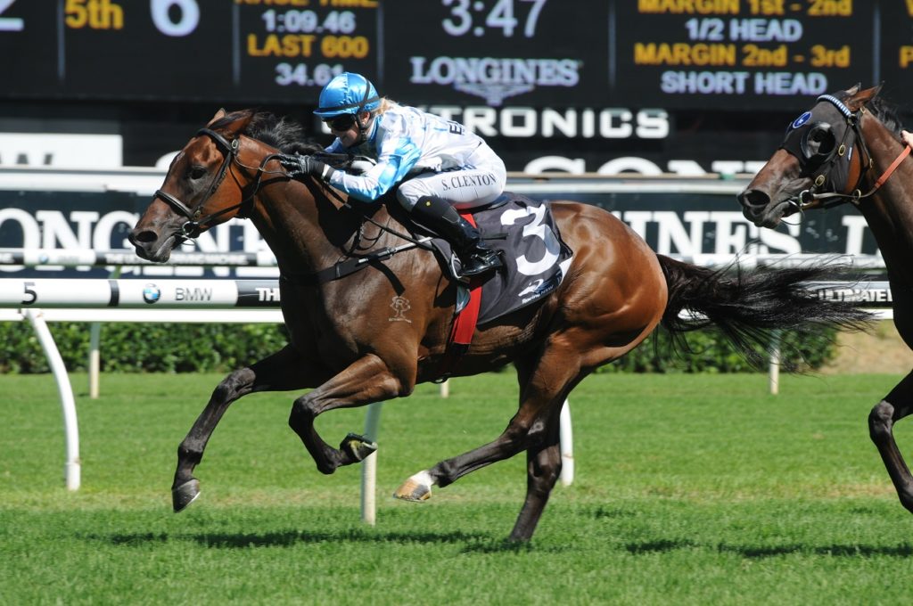 Testashadow 130216 2869 | Just Horse Racing
