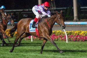 Text | Just Horse Racing'N Hurley-0539 Text'N Hurley