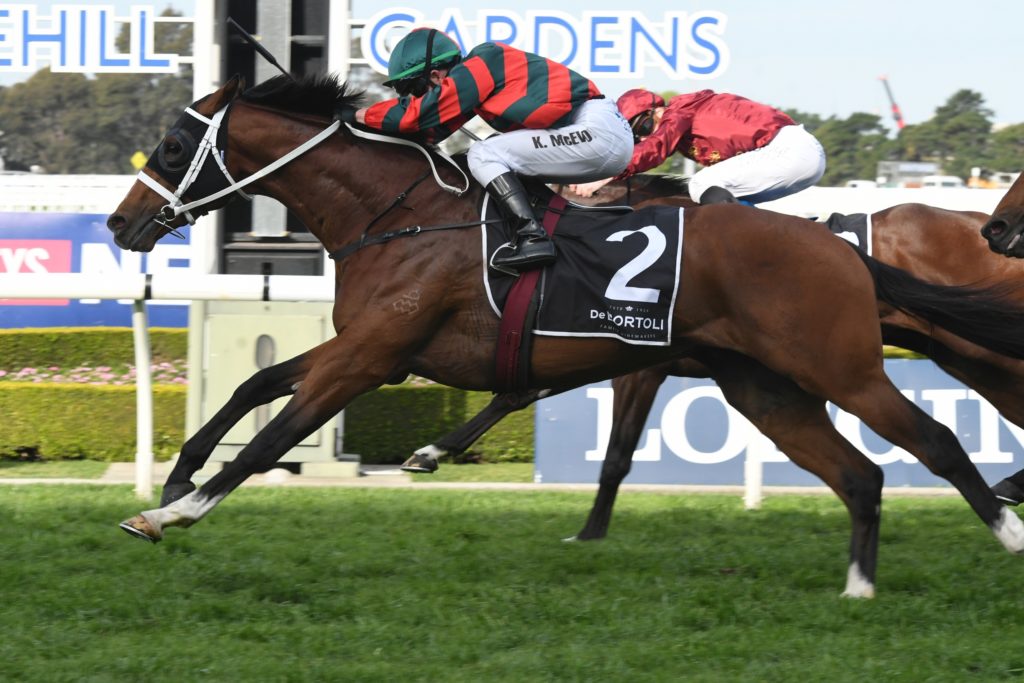 The Autumn Sun 220918 5785 | Just Horse Racing