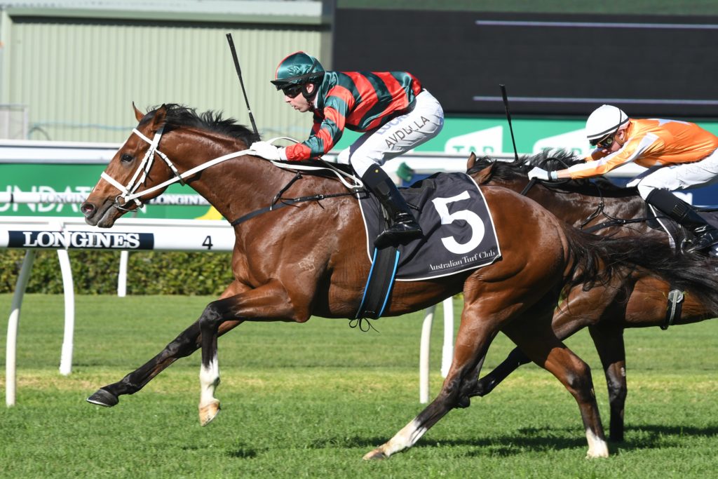 The Autumn Sun 260518 9087 | Just Horse Racing