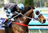 The Cleaner - Railway Stakes odds