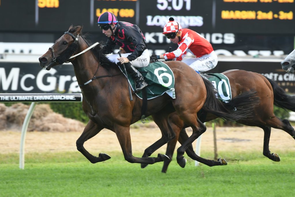 The Monstar 171216 2237 | Just Horse Racing