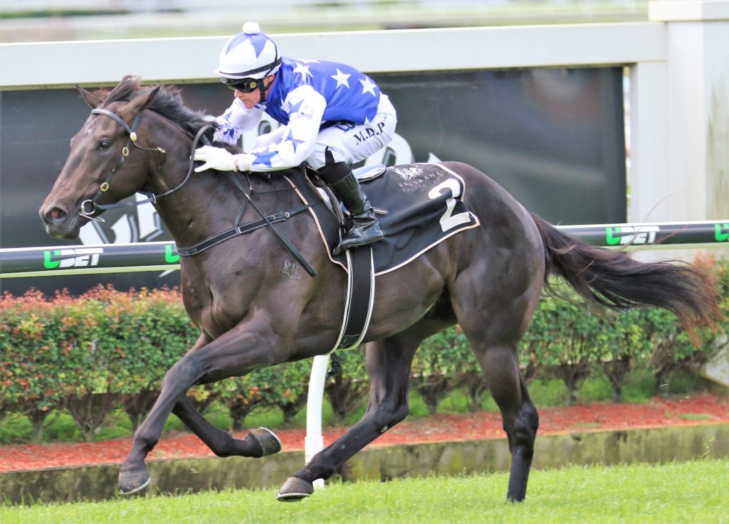 The Odyssey (1) | Just Horse Racing