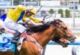 The Wingman winning the Equiano Speed Yearlings Heat 6 at Caulfield ridden by Damien Oliver and trained by Tony Vasil - (photo by Steven Dowden/Race Horse Photos Australia)