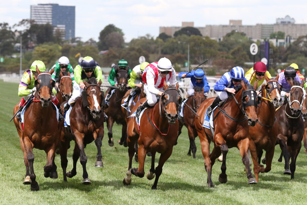 Thermal Current_08-11-2018_WIN_Flemington_6__1141 | Just Horse Racing