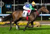 Thump winning the Gallagher Bassett/ TBV Champagne Stakes at Moonee Valley - photo by Race Horse Photos Australia