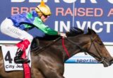 Thump winning the Gallagher Bassett/ TBV Champagne Stakes at Moonee Valley - photo by Race Horse Photos Australia