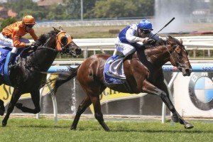 ThunderFantasy-0407 | Just Horse Racing