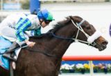 Thy winning the Australian Defence Force Regal Roller Stakes at Caulfield - photo by Race Horse Photos Australia