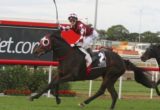 Tinto winning the Queensland Oaks 2014 - Tim Bell