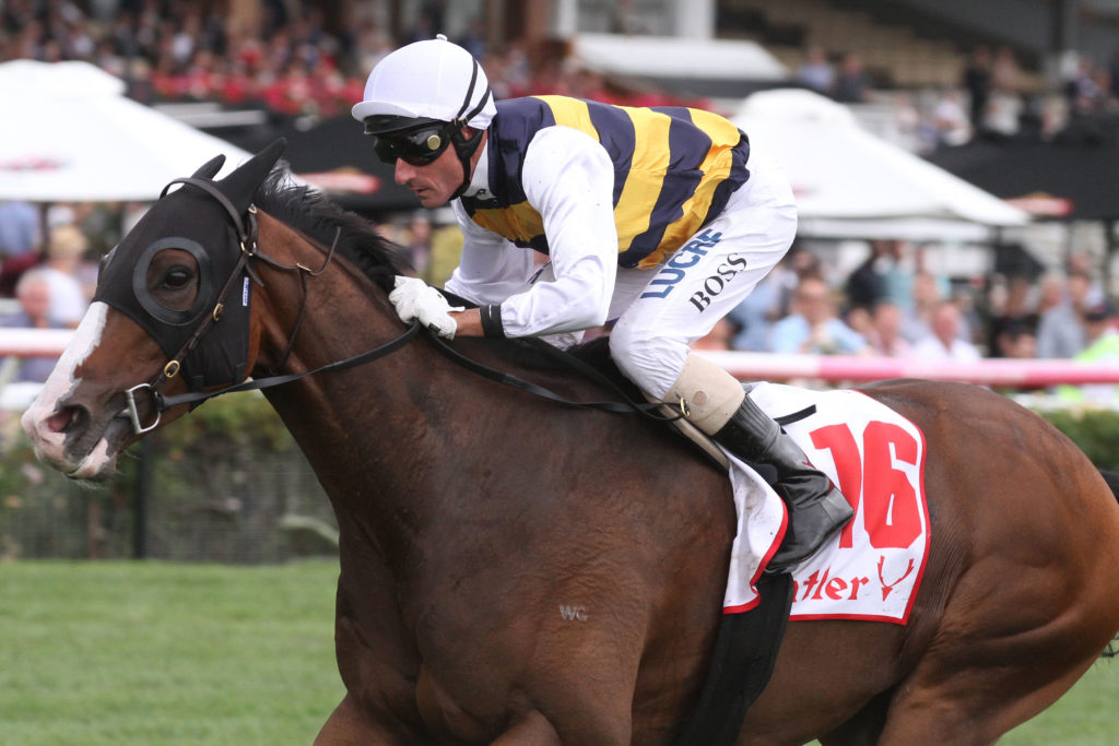 Tom Melbourne_05-03-2016_WIN_Flemington_9__1194 | Just Horse Racing