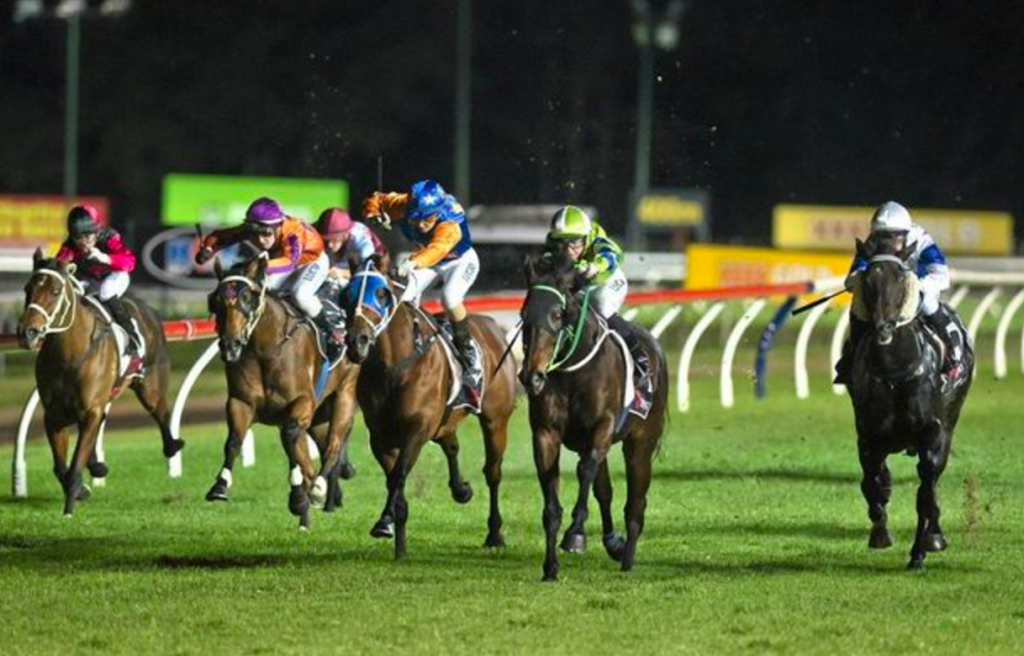 16/11/2019 Horse Racing Tips and Best Bets – Toowoomba - Just Horse Racing