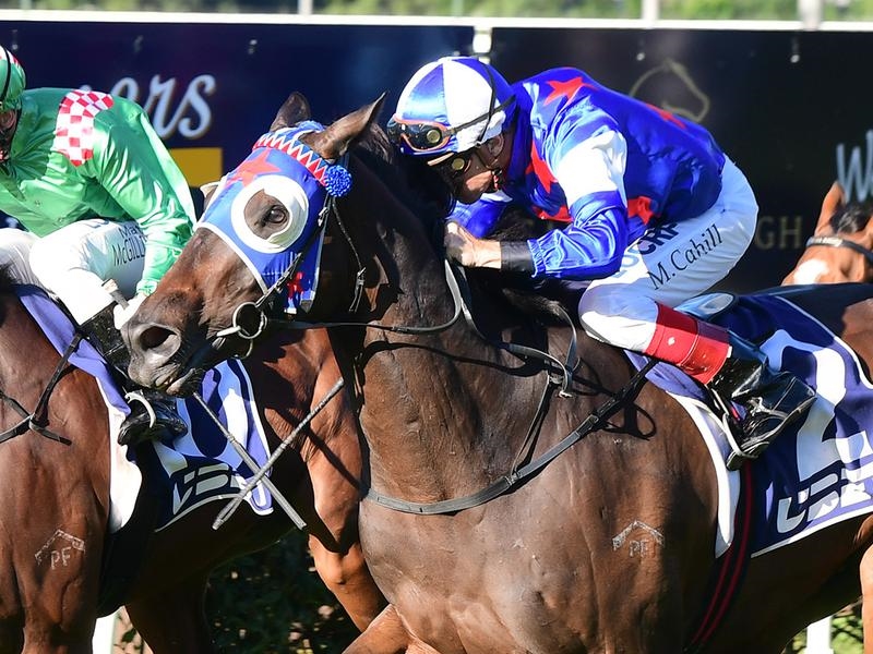 Toowoomba Cup | Just Horse Racing