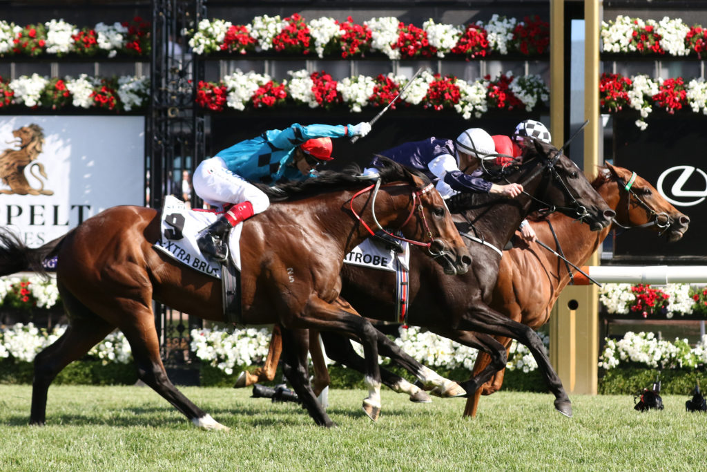 Trap For Fools, Mackinnon Stakes,Group1_10-11-2018_WIN_Flemington_8__1948 | Just Horse Racing Trap For Fools, Mackinnon Stakes
