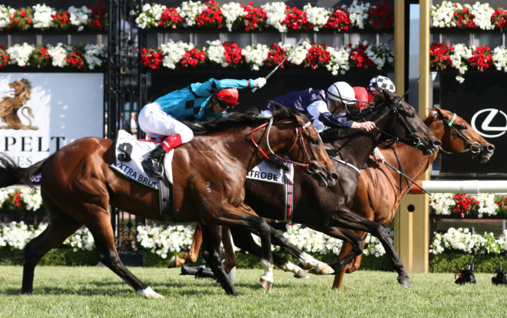 Trap For Fools, Mackinnon Stakes