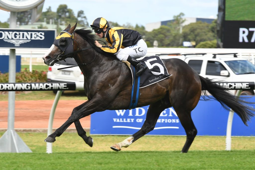 Trapeze Artist 030218 3331 | Just Horse Racing