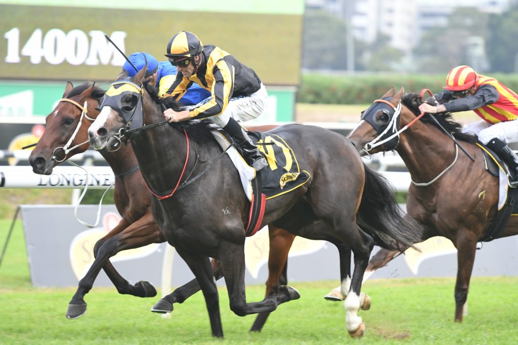 Trapeze Artist 210418 3796 | Just Horse Racing