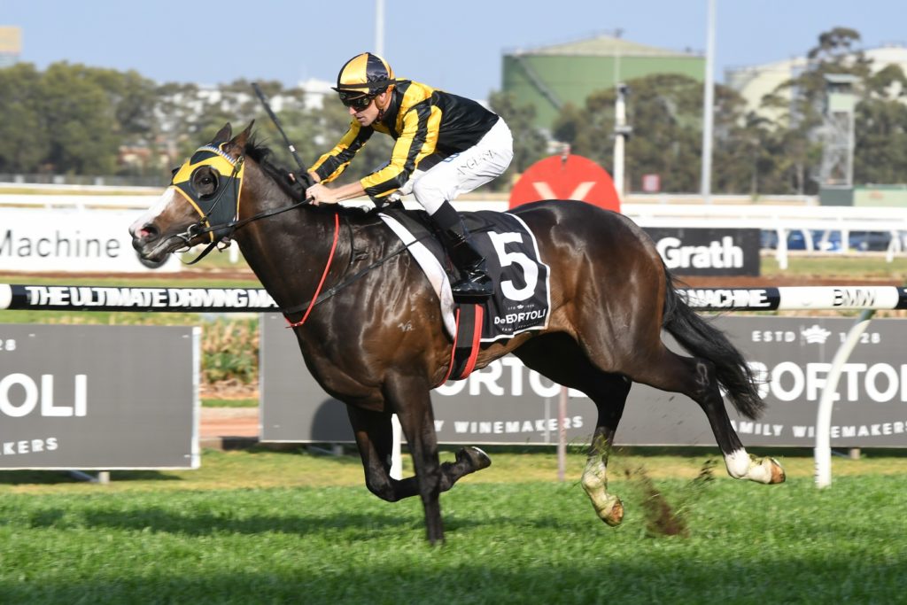 Trapeze Artist 230917 9574 | Just Horse Racing