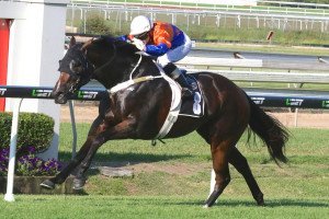 Traveston Girl - Recognition Stakes