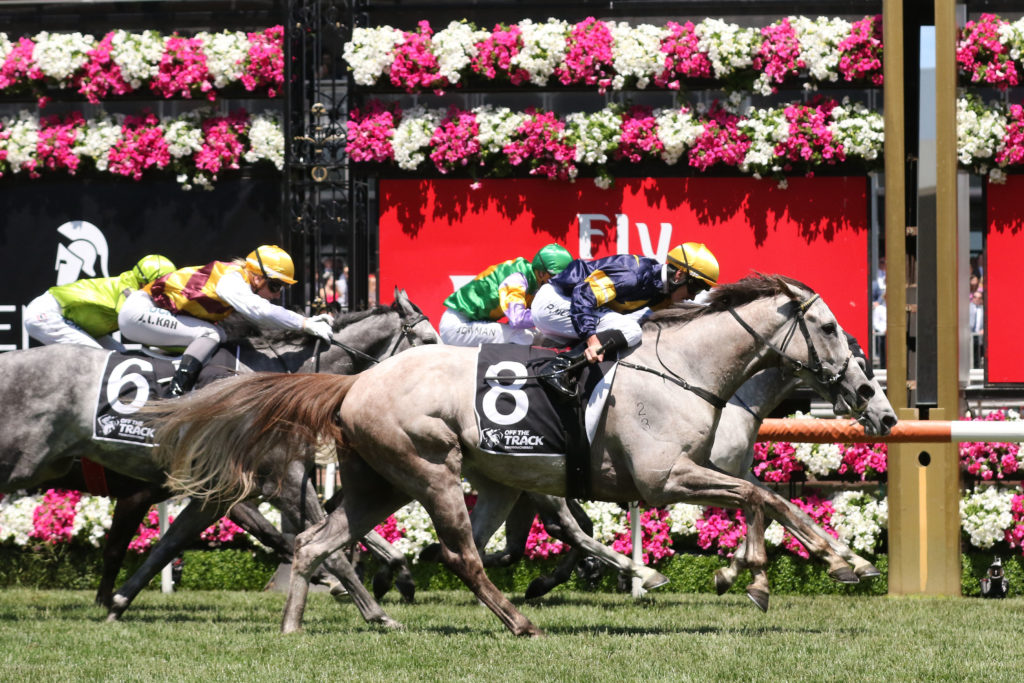 Tribal Wisdom_09-11-2017_WIN_Flemington_3__558 | Just Horse Racing