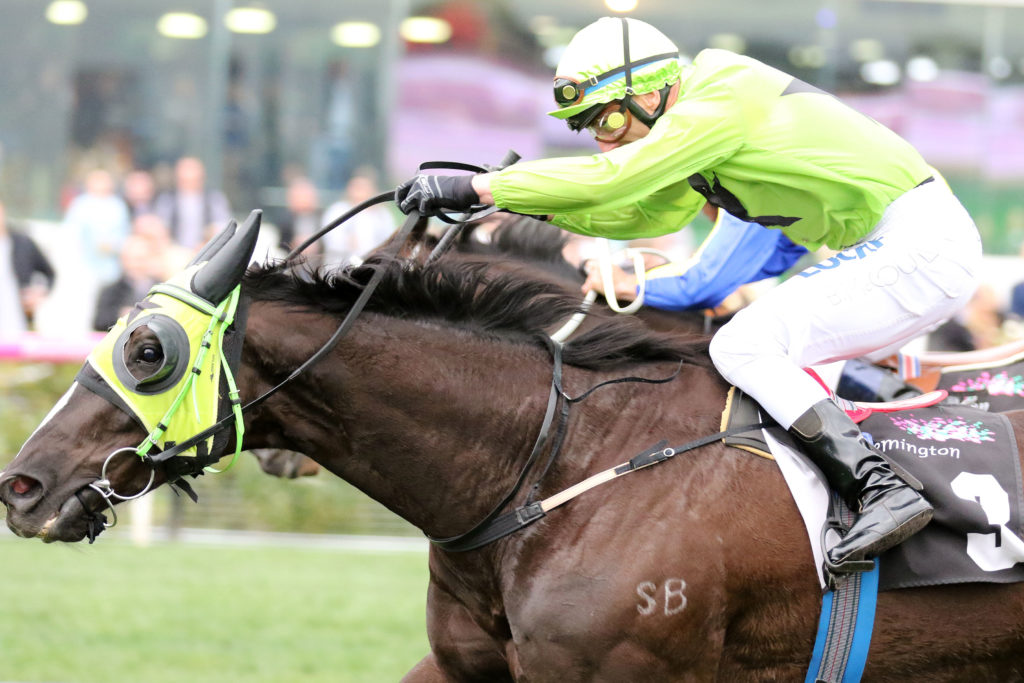 Tshahitsi_08-07-2017_WIN_Flemington_7__947 | Just Horse Racing